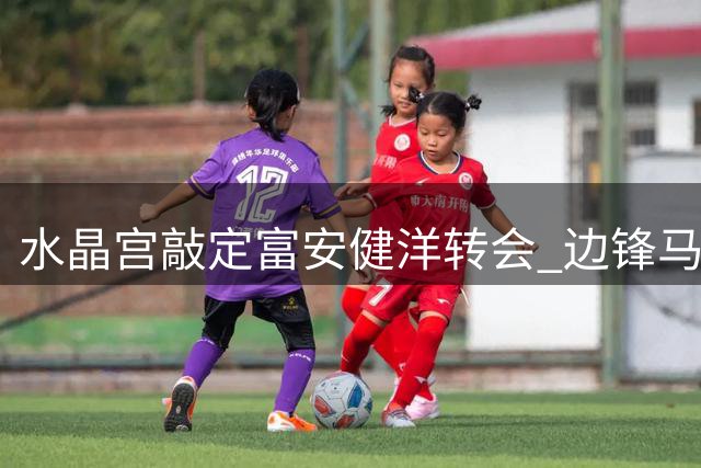 水晶宫敲定富安健洋转会 边锋马奇成潜在目标