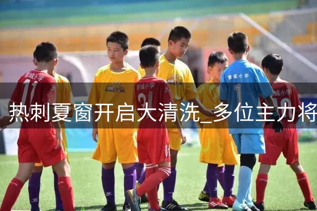 热刺夏窗开启大清洗 多位主力将离队